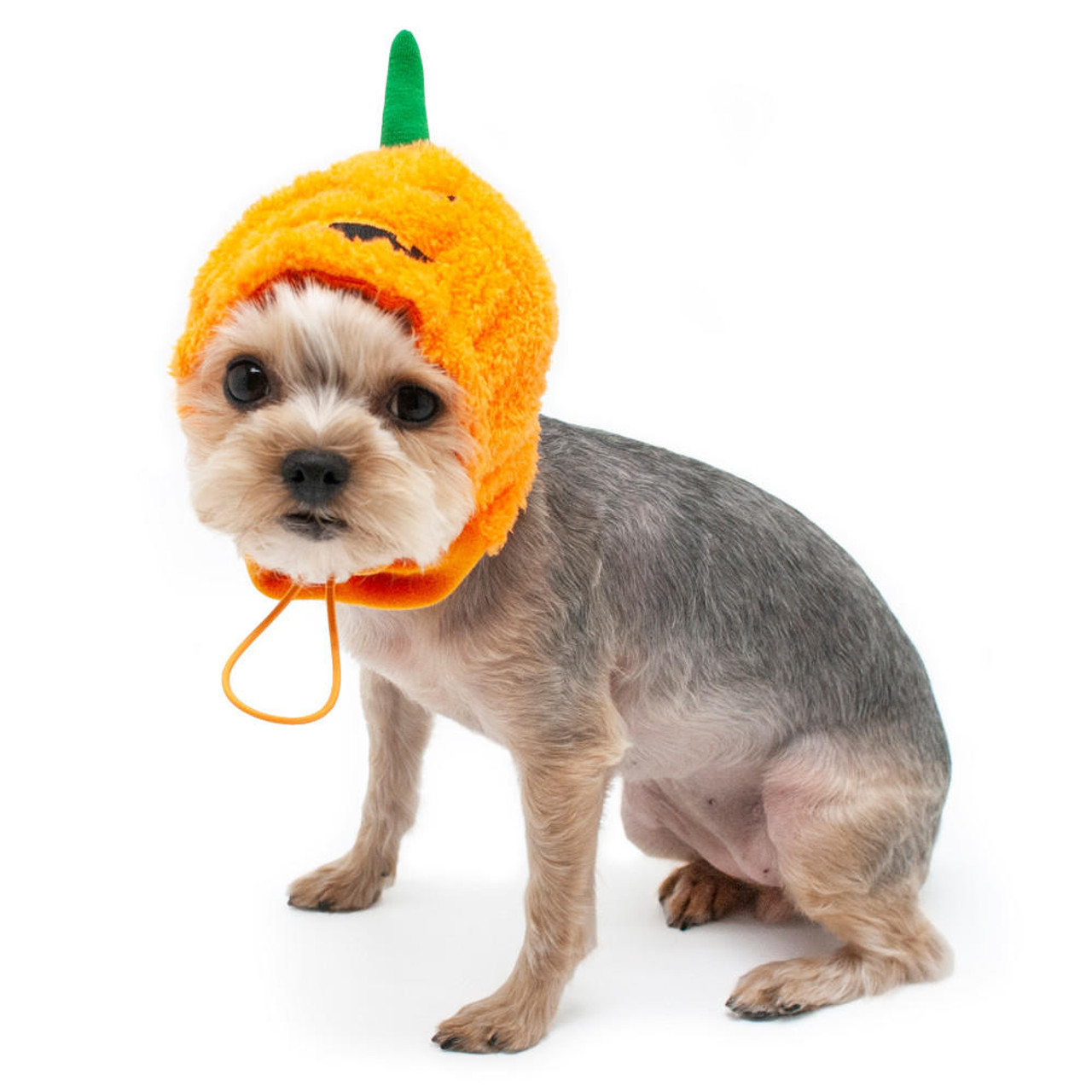 Dogo Jack-O Hat 