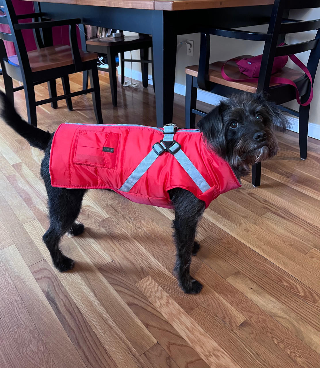  NYD Harness Coat 
