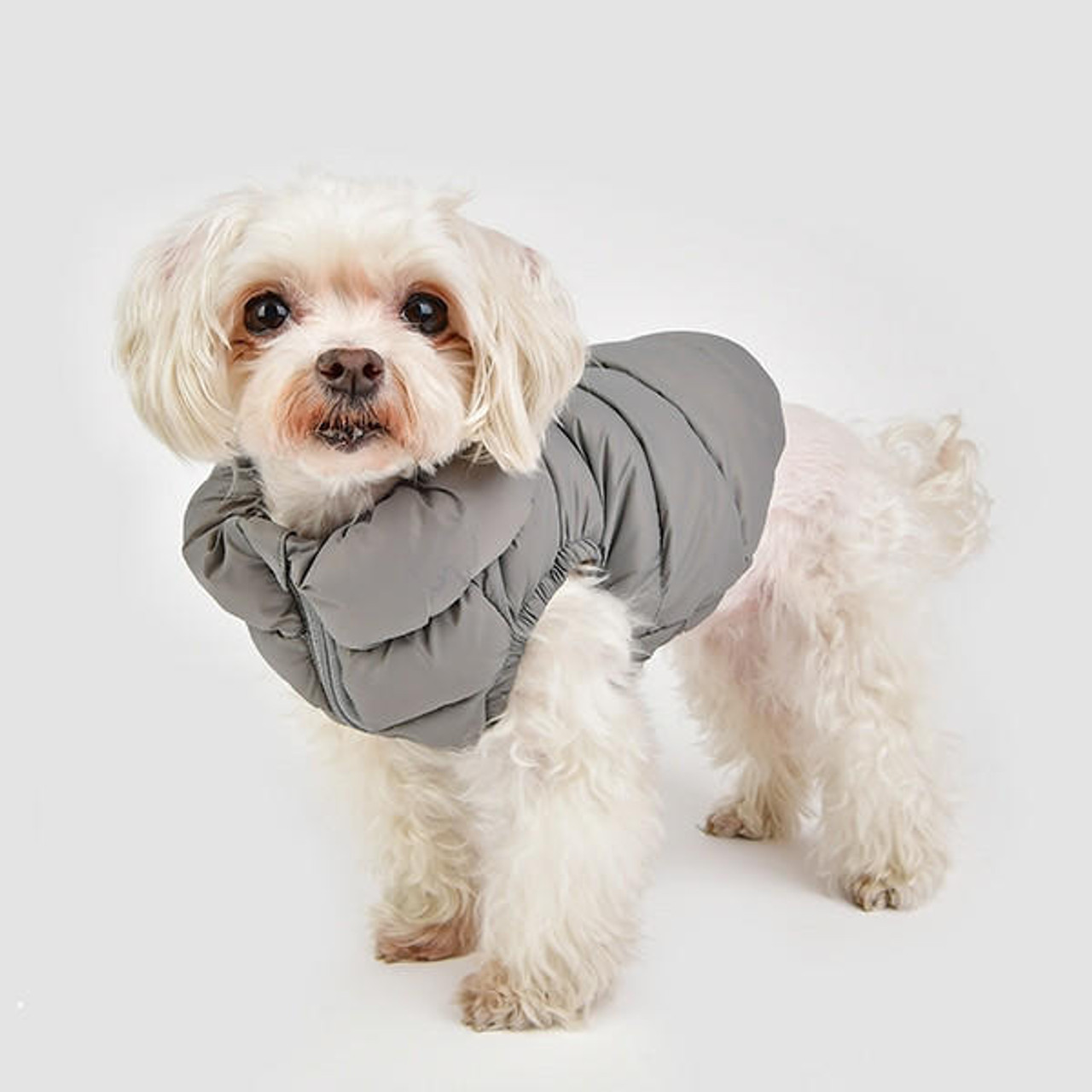 Puppia/Pinkaholic Puppia Ultra Light Vest A 