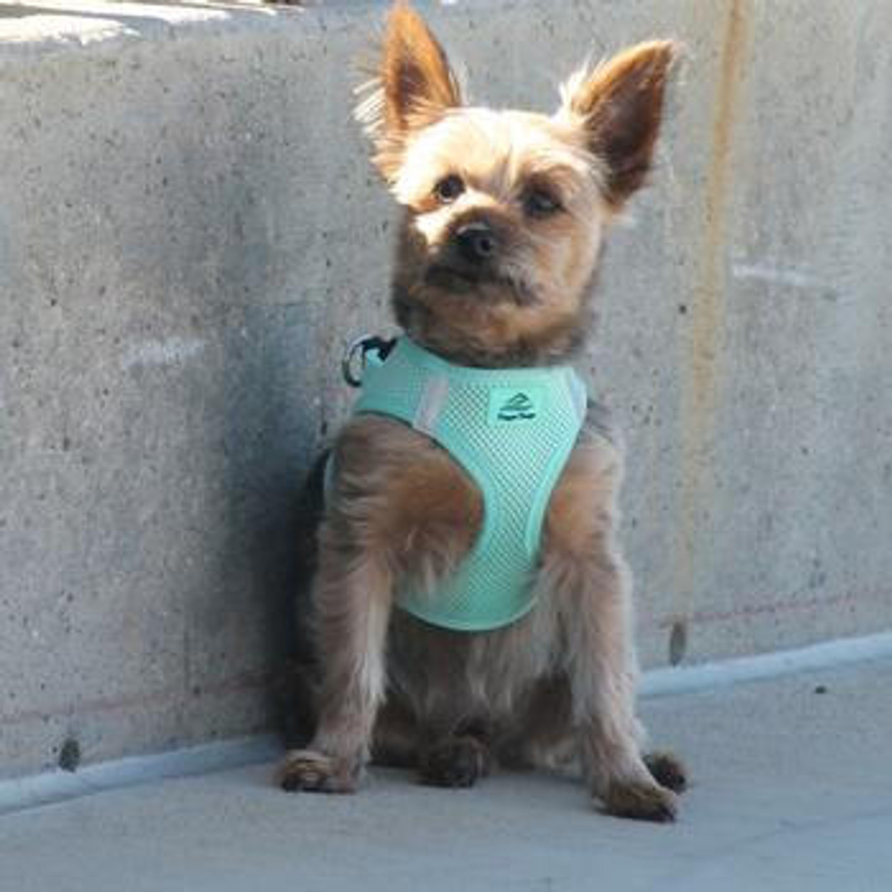 Doggie Design American River Dog Harness Solid Mesh 