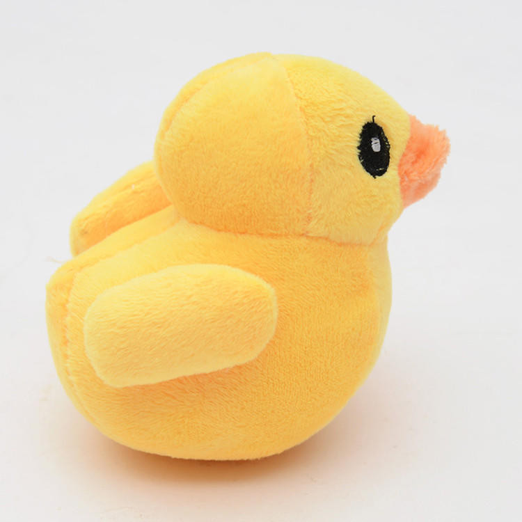  Duck Toy 