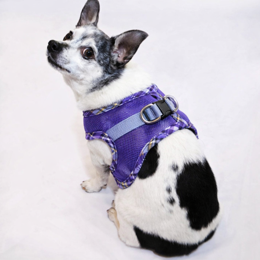 NYD Open Mesh Step In Harness-BUY 3  FOR $17.95 EACH-NEW COLORS
