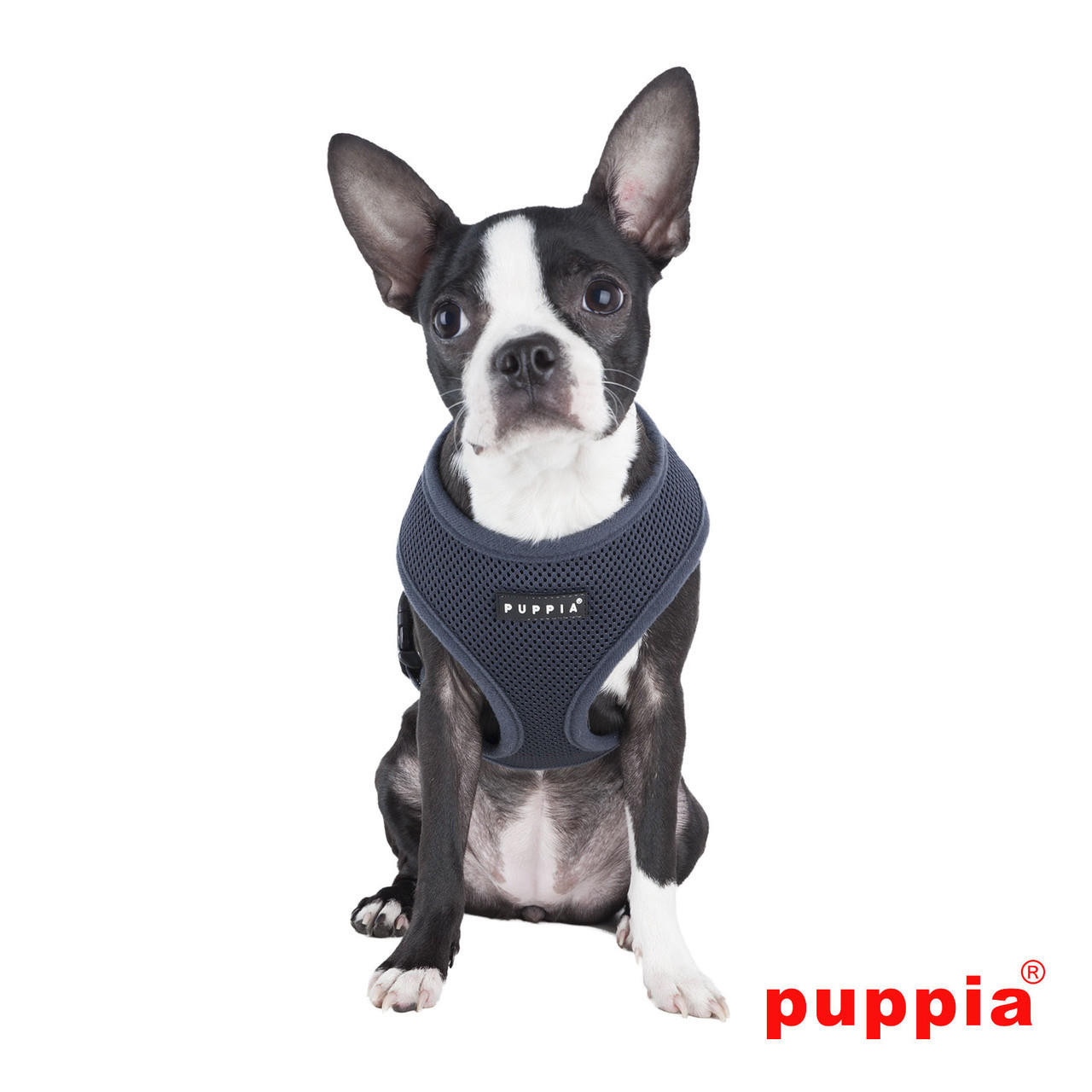 Puppia/Pinkaholic Puppia Soft Mesh Dog Harness - XS-FINAL SALE 