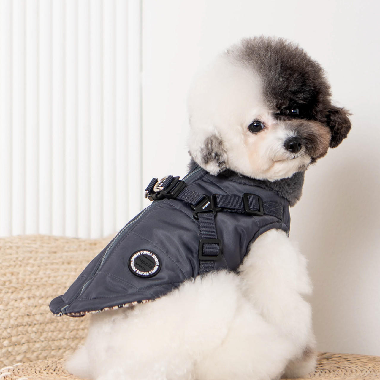Puppia donovan