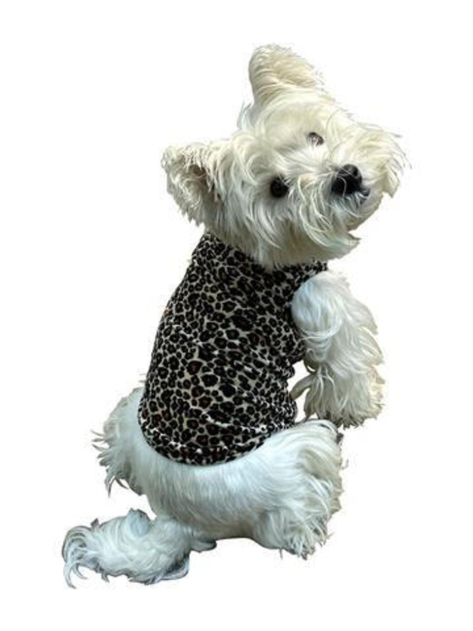 the dog squad Dog Squad Retro Velvet Leopard Top 