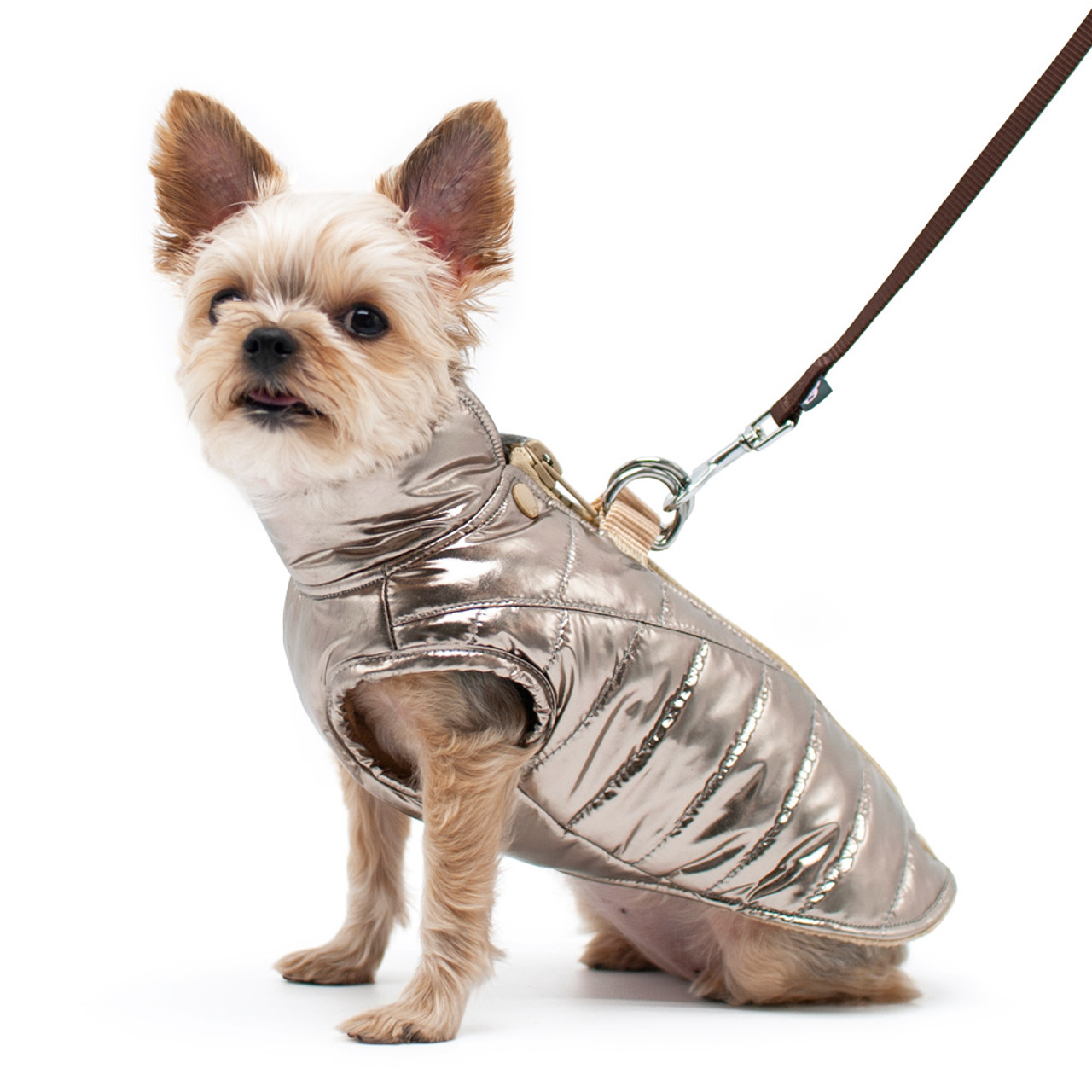Dogo Metallic Runner Coat with Built In Harness