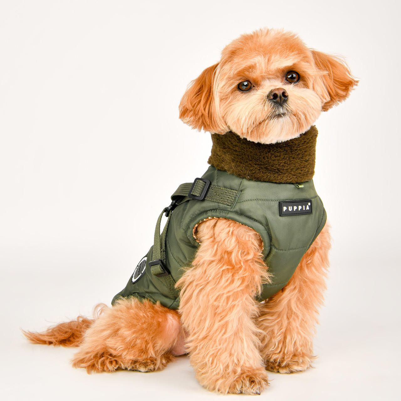 Puppia/Pinkaholic Puppia Donavan Coat with built in harness-FINAL SALE. 