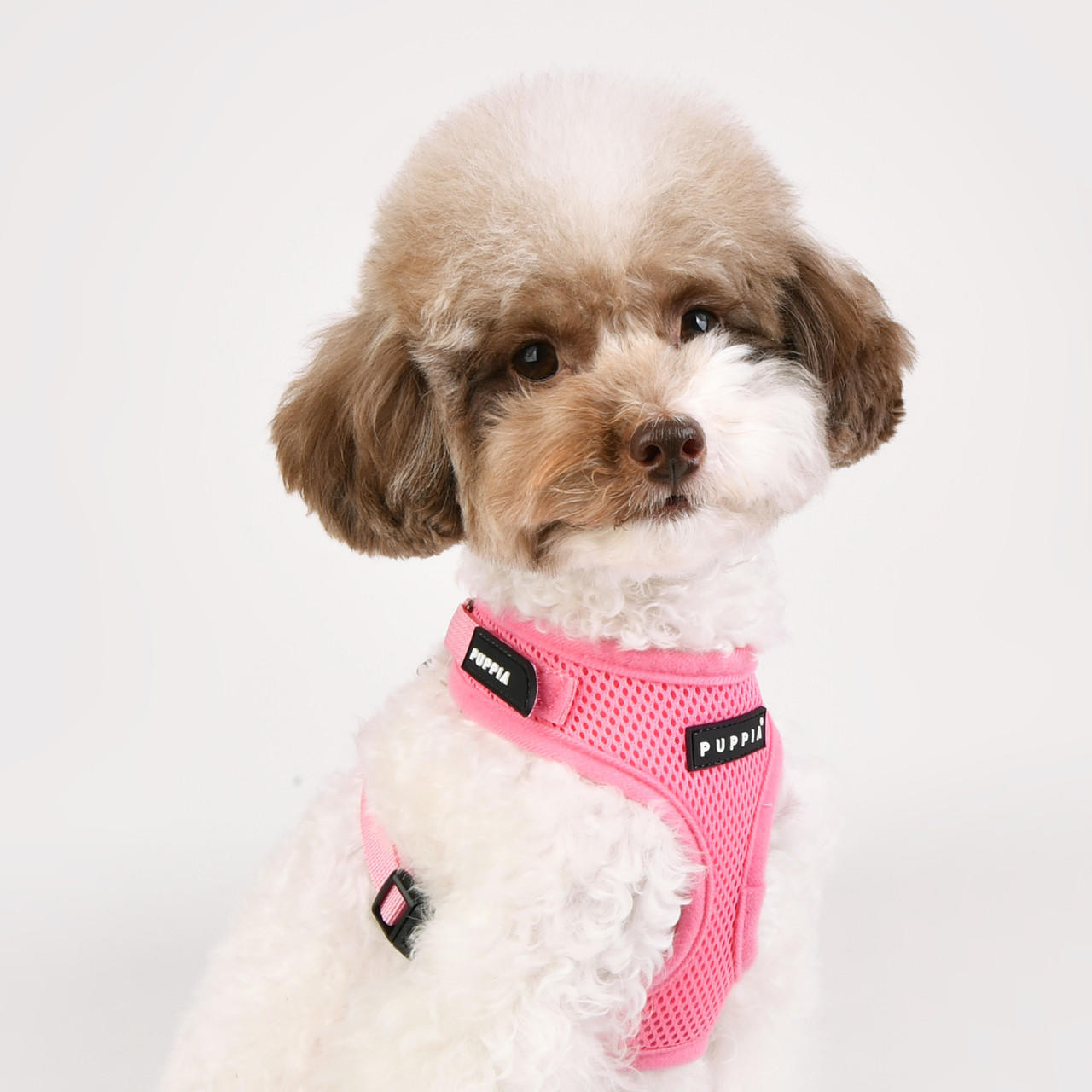 Puppia/Pinkaholic Puppia Soft Superior Harness 