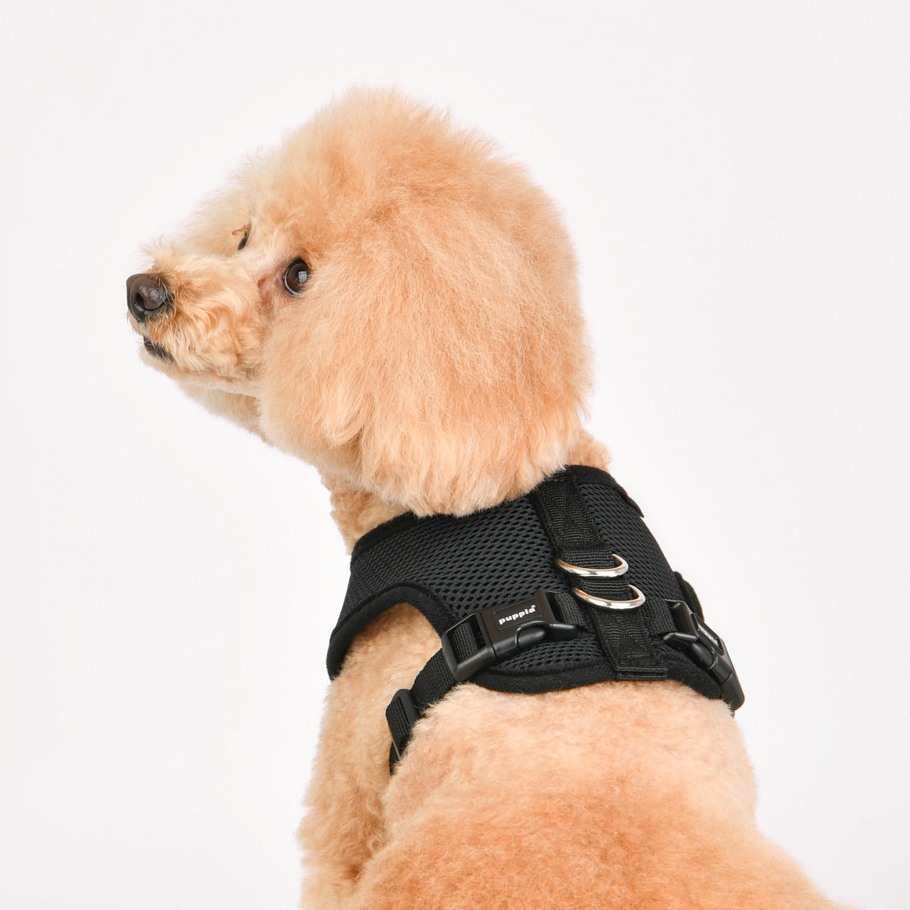 Puppia/Pinkaholic Puppia Soft  Harness E 