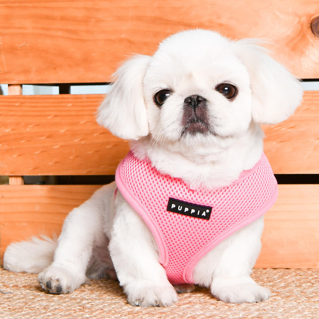 Puppia/Pinkaholic Puppia Soft  Harness E 