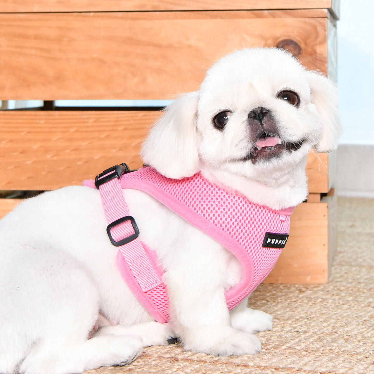 Puppia/Pinkaholic Puppia Soft  Harness E 