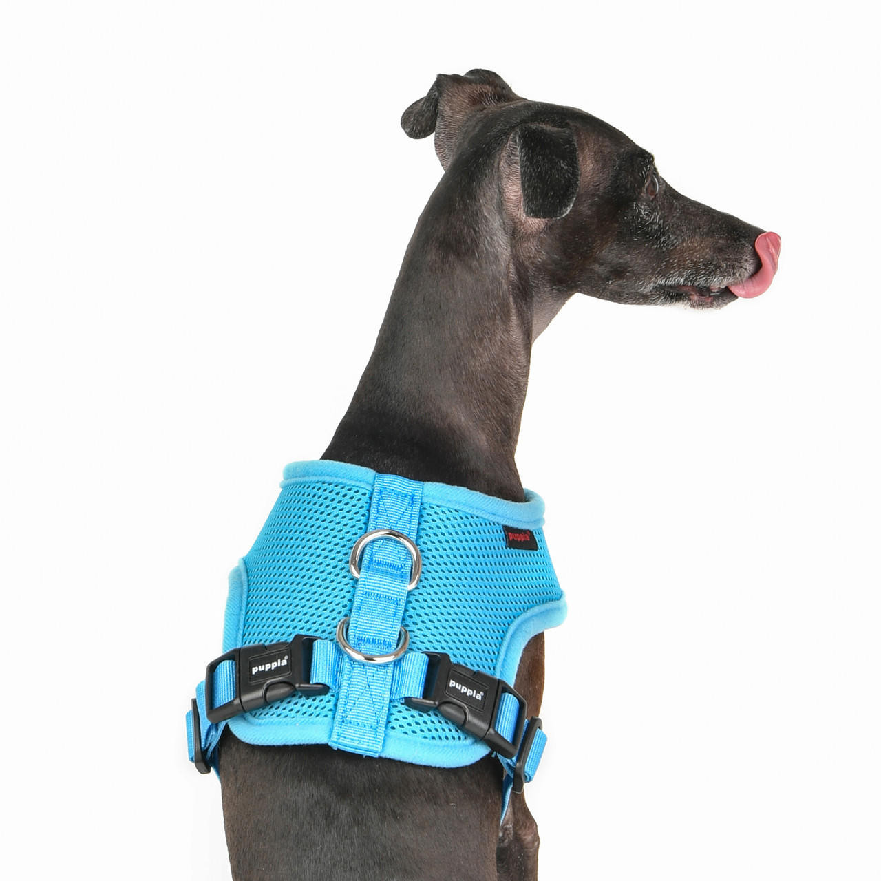 Poisepup – Luxury Pet Dog Harness – Soft Premium Italian Leather W/crystal  Harness For Small And Medium Dogs - Wildest One : Target