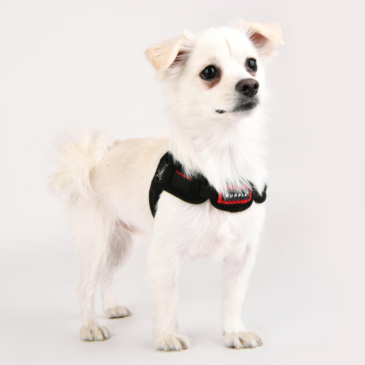 Puppia Soft Mesh Dog Harness - Shop Online!