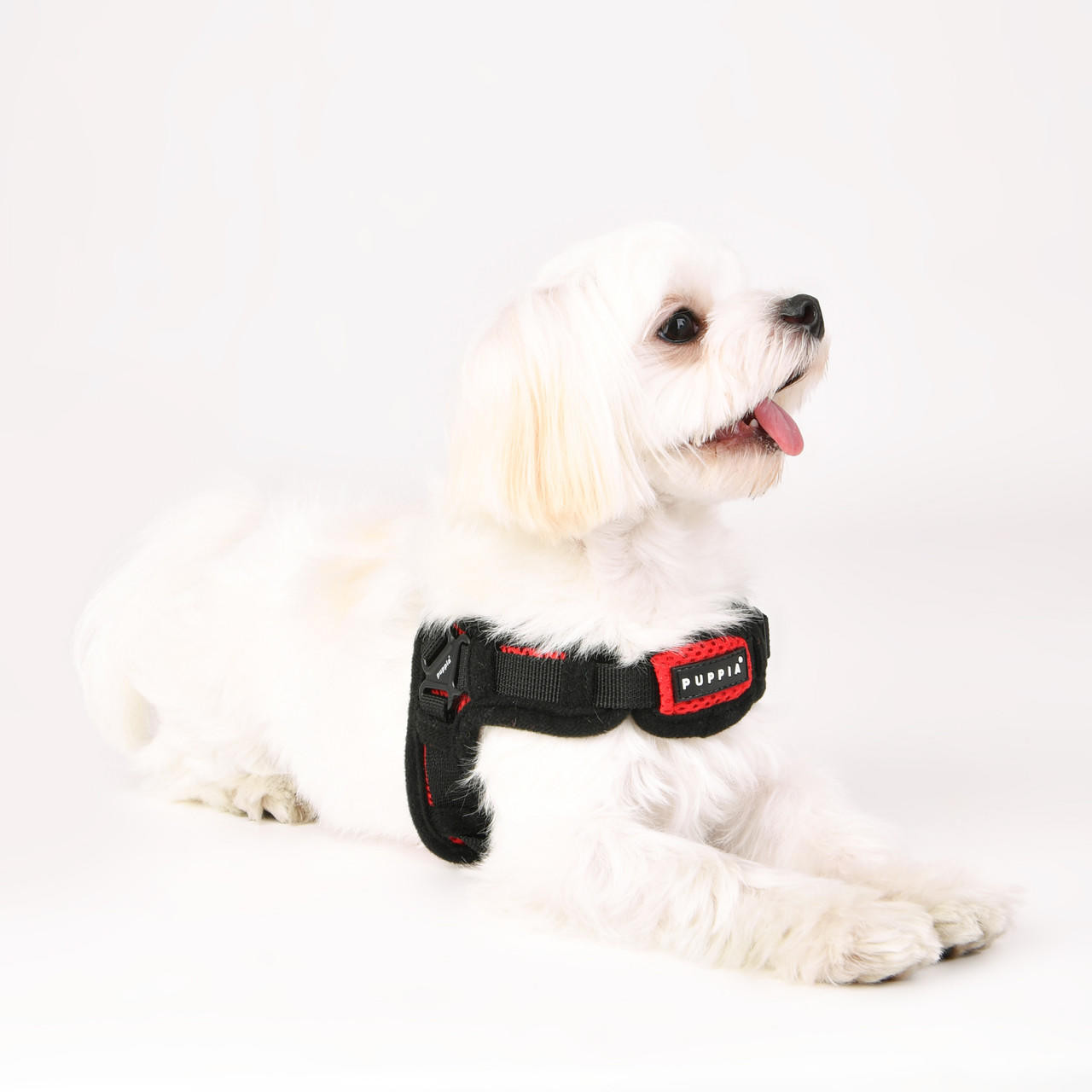 puppia leash