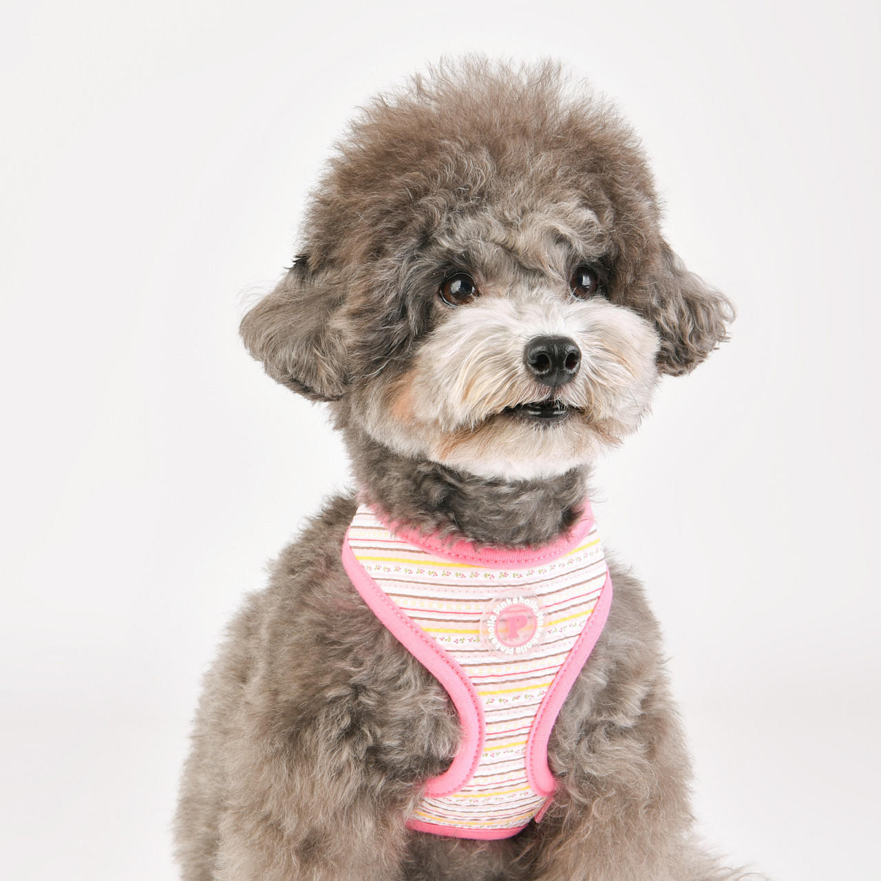 Puppia/Pinkaholic Pinkaholic Joie Harness (by Puppia) 