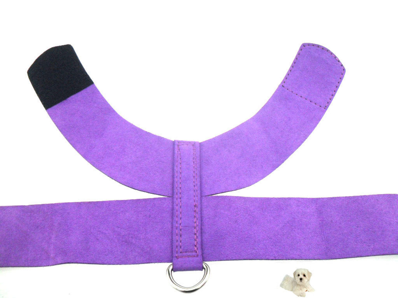 NYD Bling Wrap Harness and Leash 