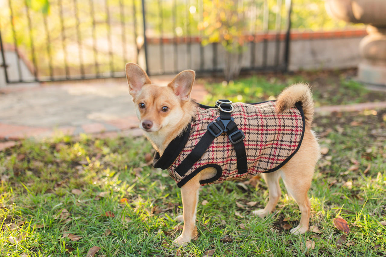  NYD Step In Jacket Harness 
