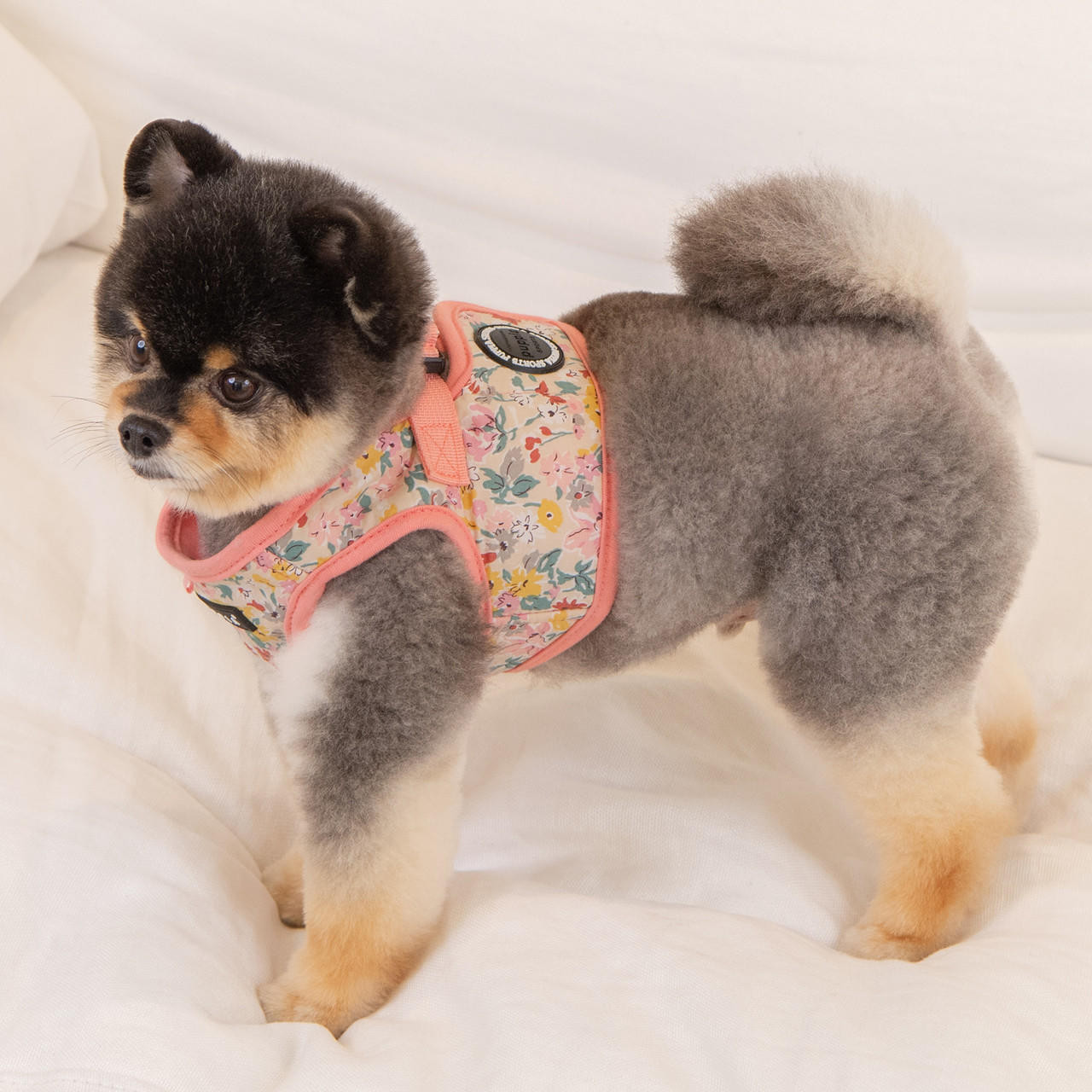 Puppia/Pinkaholic Puppia Lita Harness Vest B