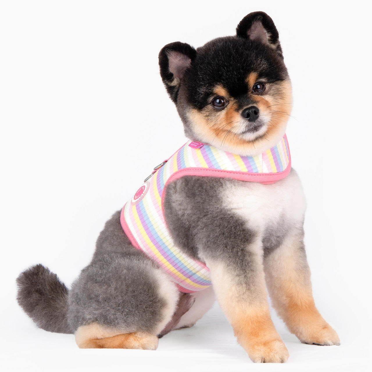 Puppia/Pinkaholic Pinkaholic Maire Pinka Harness