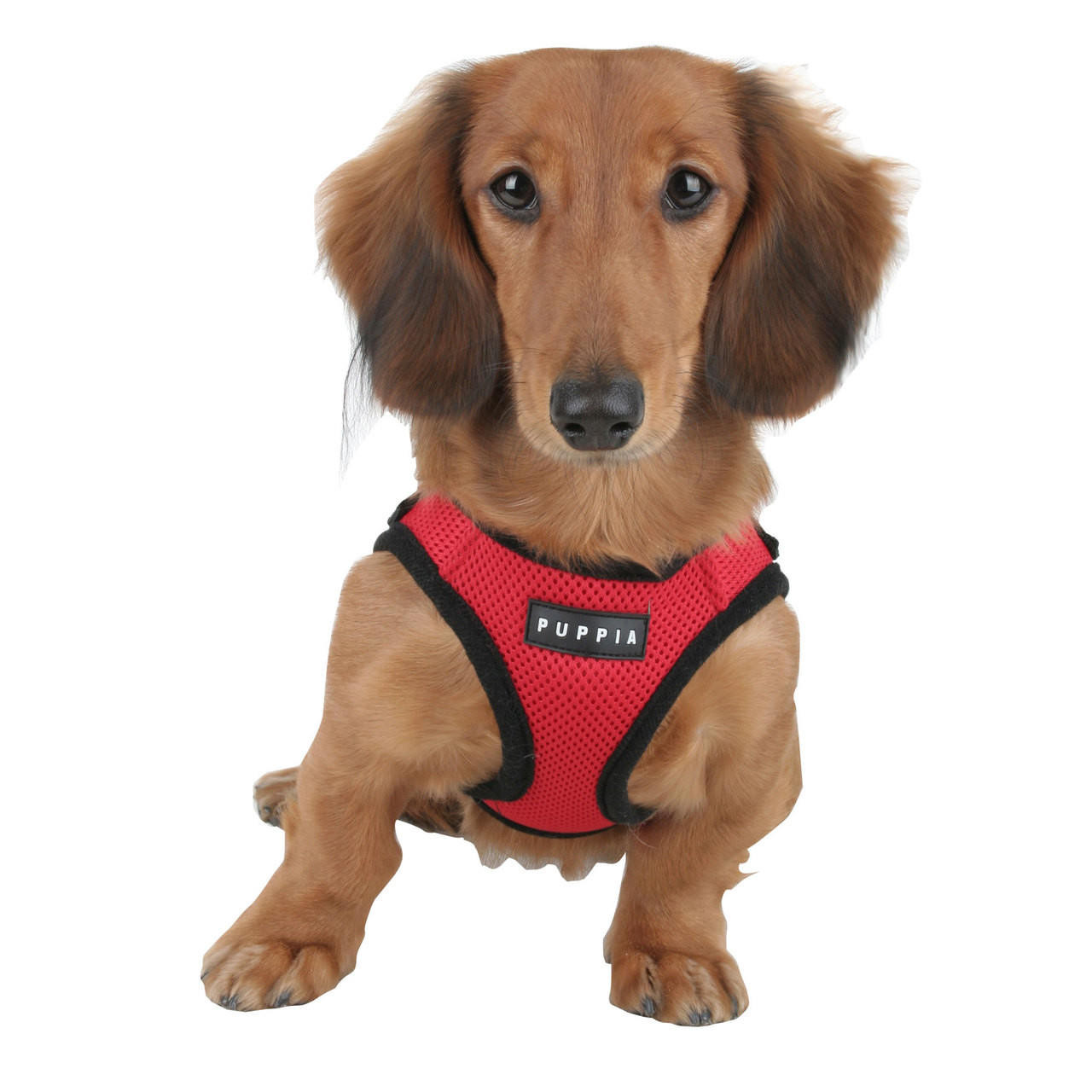 Puppia/Pinkaholic Puppia Soft Mesh Vest Dog Harness 3XL-FINAL SALE 