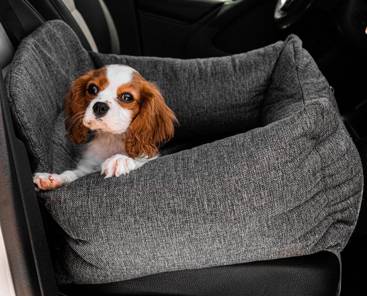 Paw Brands PupProtector Memory Foam Car Dog Bed