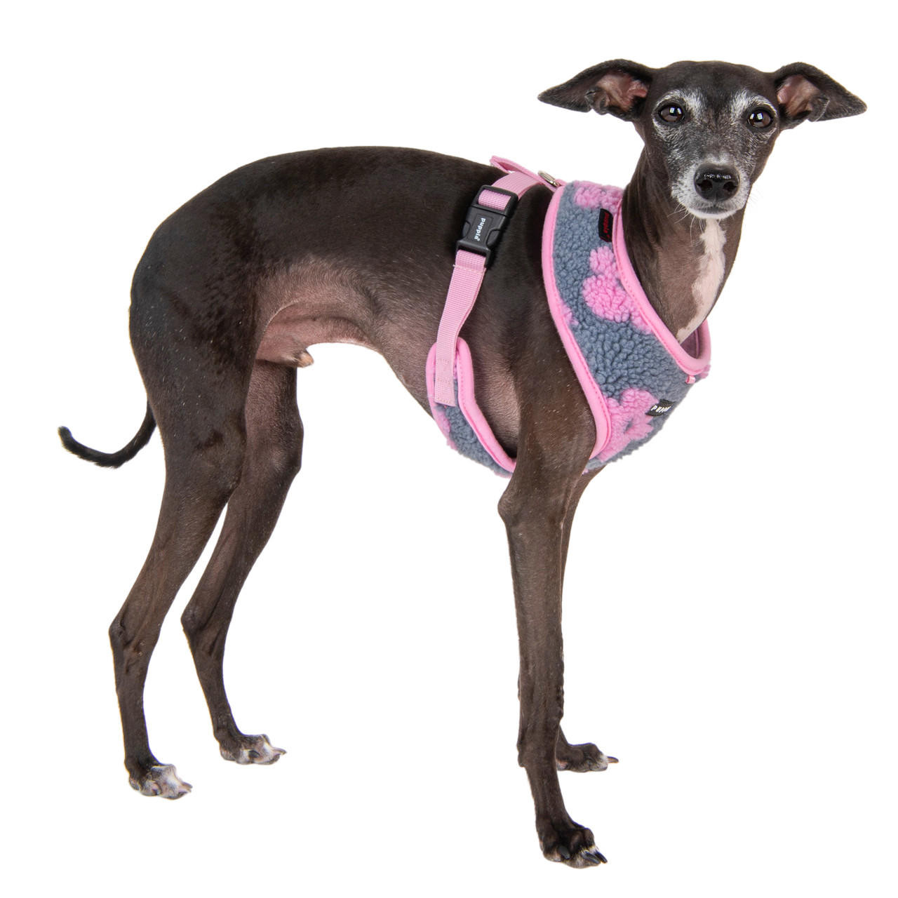 Puppia/Pinkaholic Puppia Ren Harness A