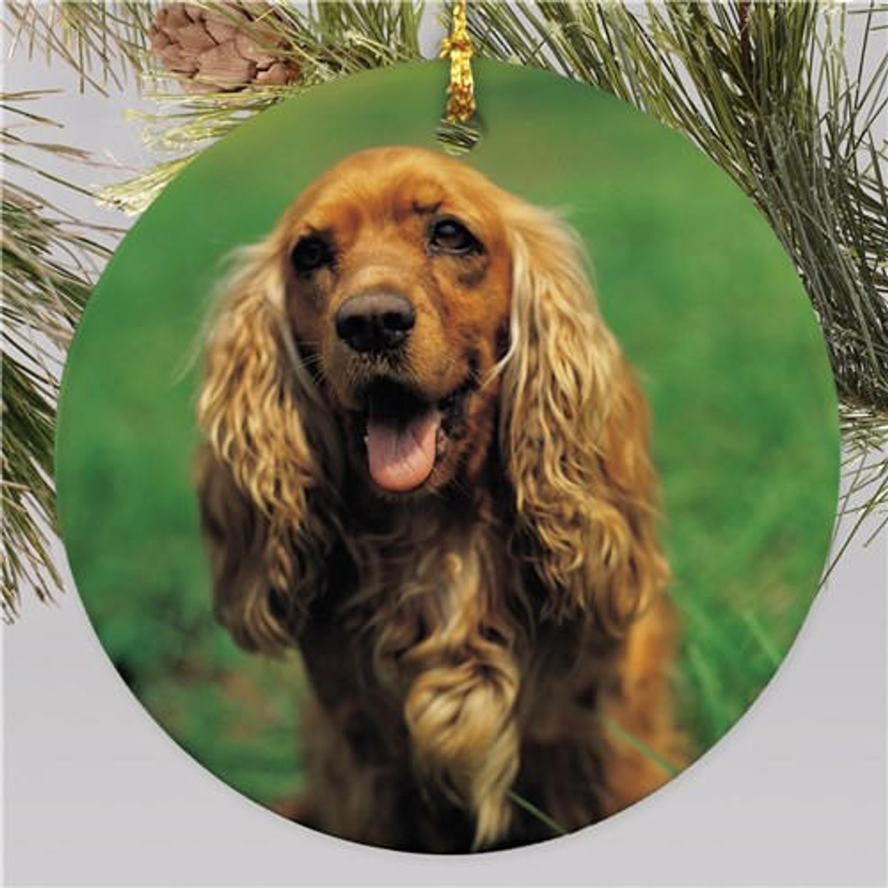 Personalized Gifts Picture Perfect Pet Photo Ornament 