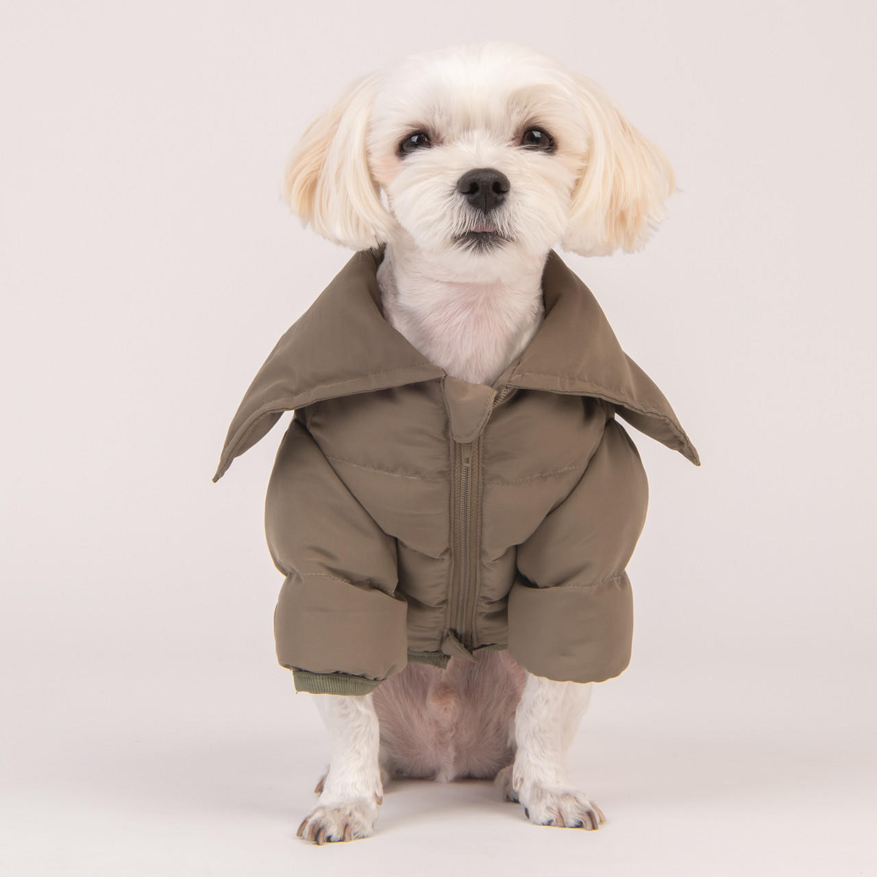 Puppia/Pinkaholic Puppia Sailor Collar Harness Jumper/Coat-FINAL SALE 