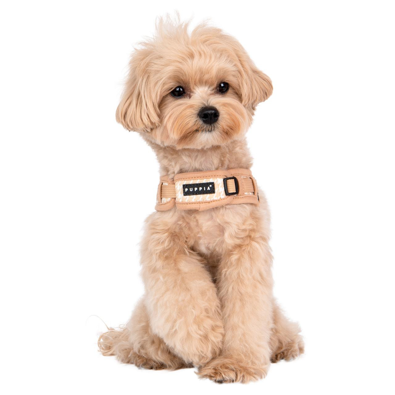 Puppia/Pinkaholic Puppia Egon Harness X 