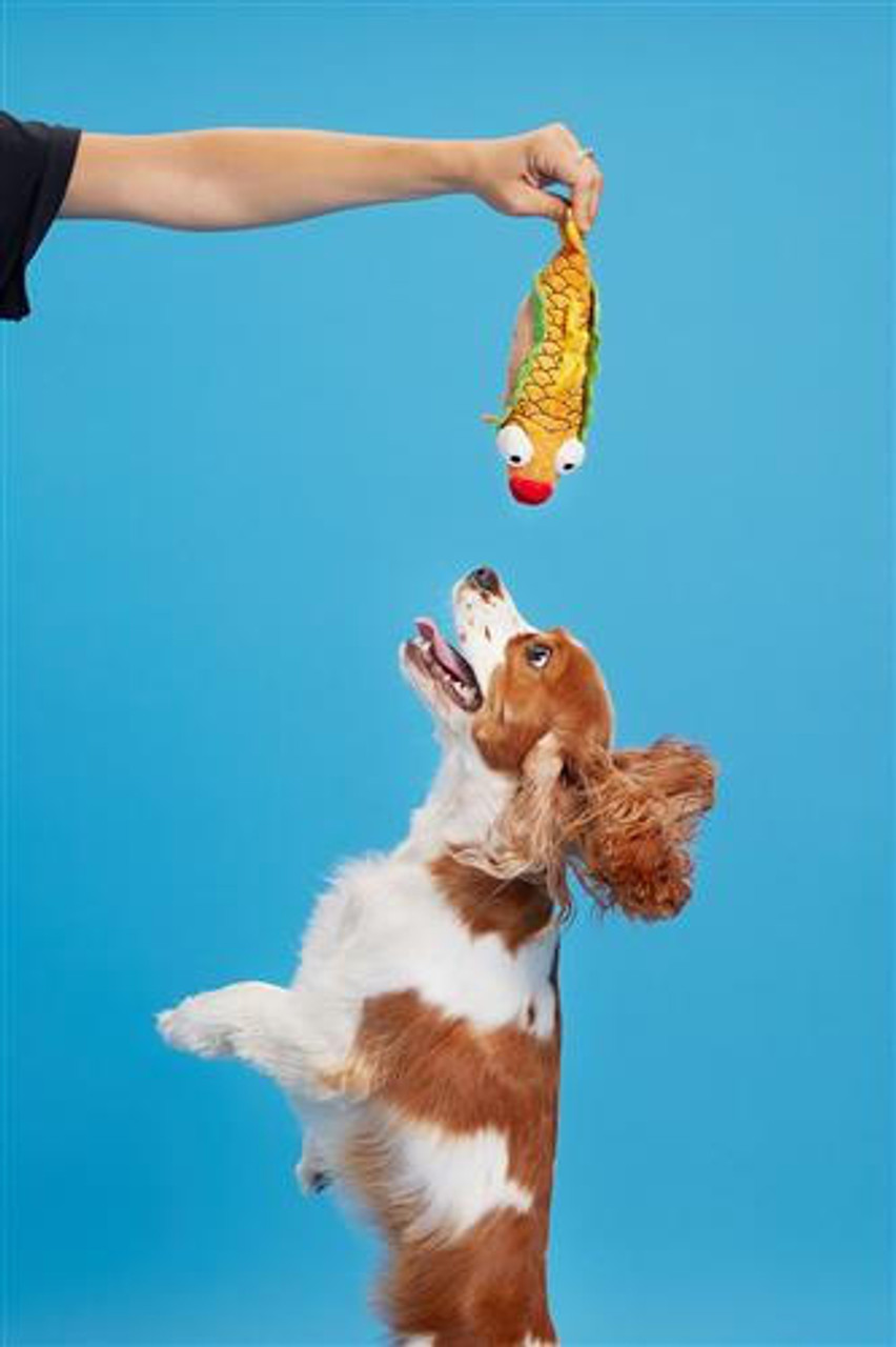 Fish taco clearance dog toy