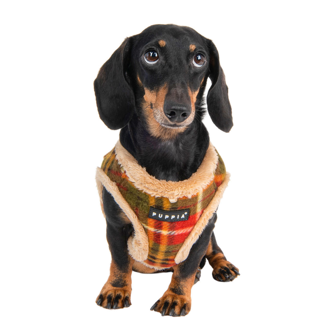 Puppia/Pinkaholic  Puppia Norman Harness Vest B-FINAL SALE 