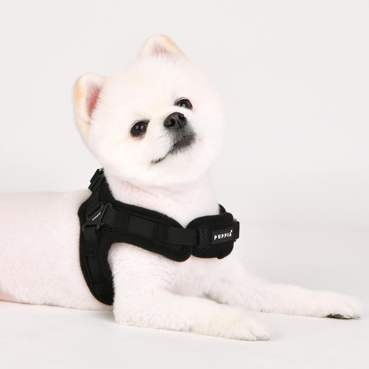 Puppia/Pinkaholic Puppia Soft  Harness X-FINAL SALE 