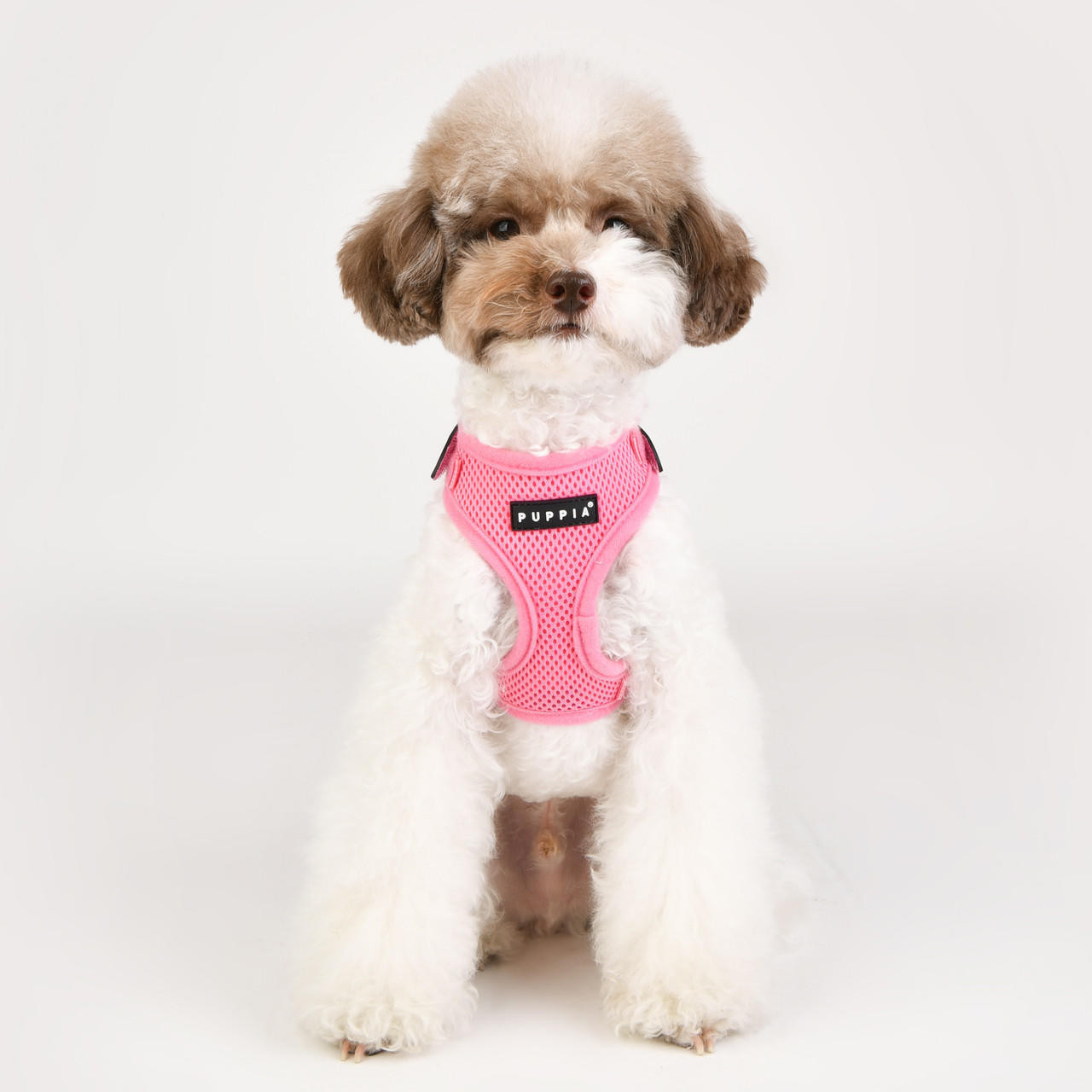 Puppia/Pinkaholic Puppia Soft Superior Harness-FINAL SALE 