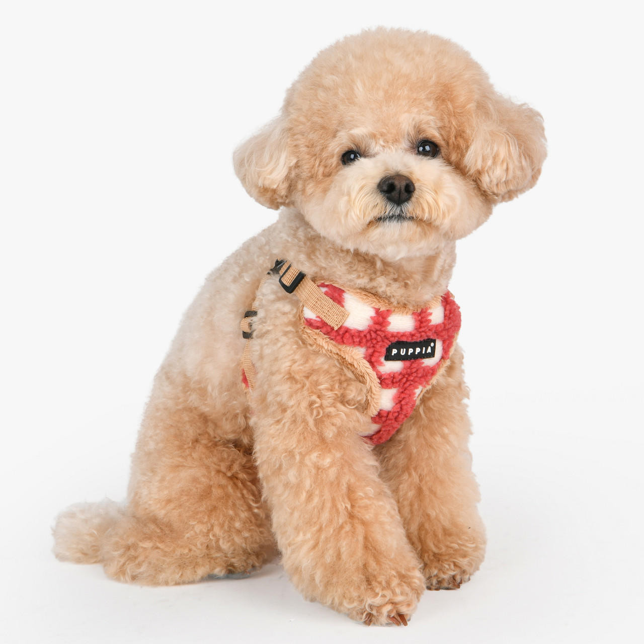 Puppia/Pinkaholic Puppia Stefan Harness C 