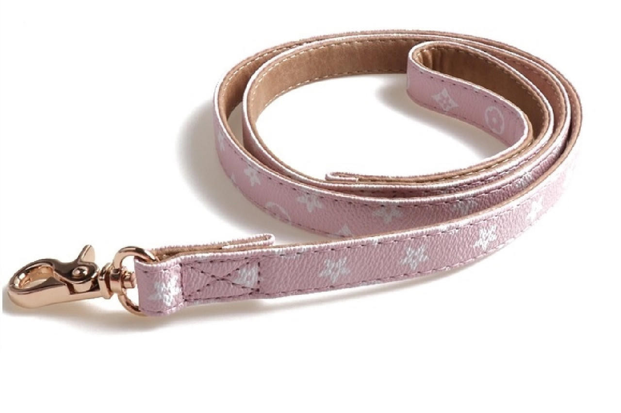 Louis Vuitton Dog Collar and Leash