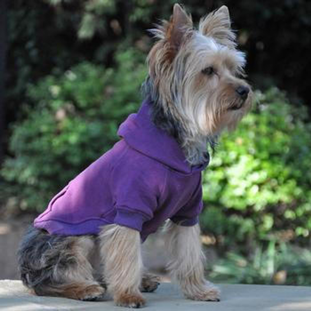  Doggie Design Flex-Fit Hoodie 