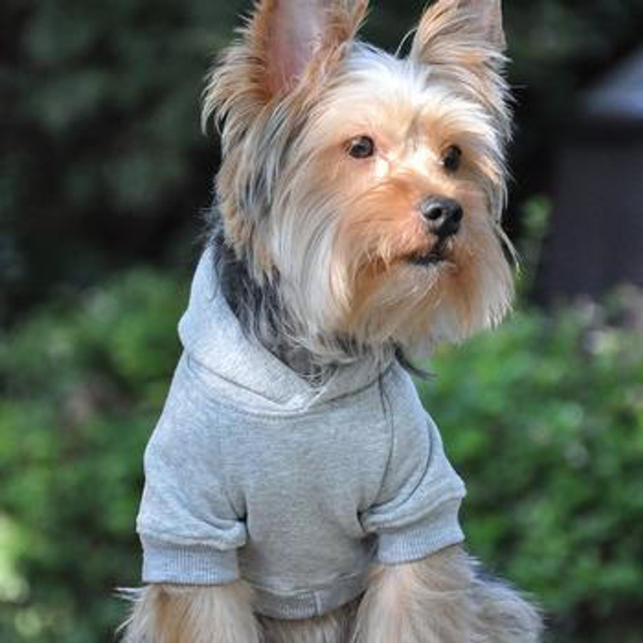  Doggie Design Flex-Fit Hoodie 