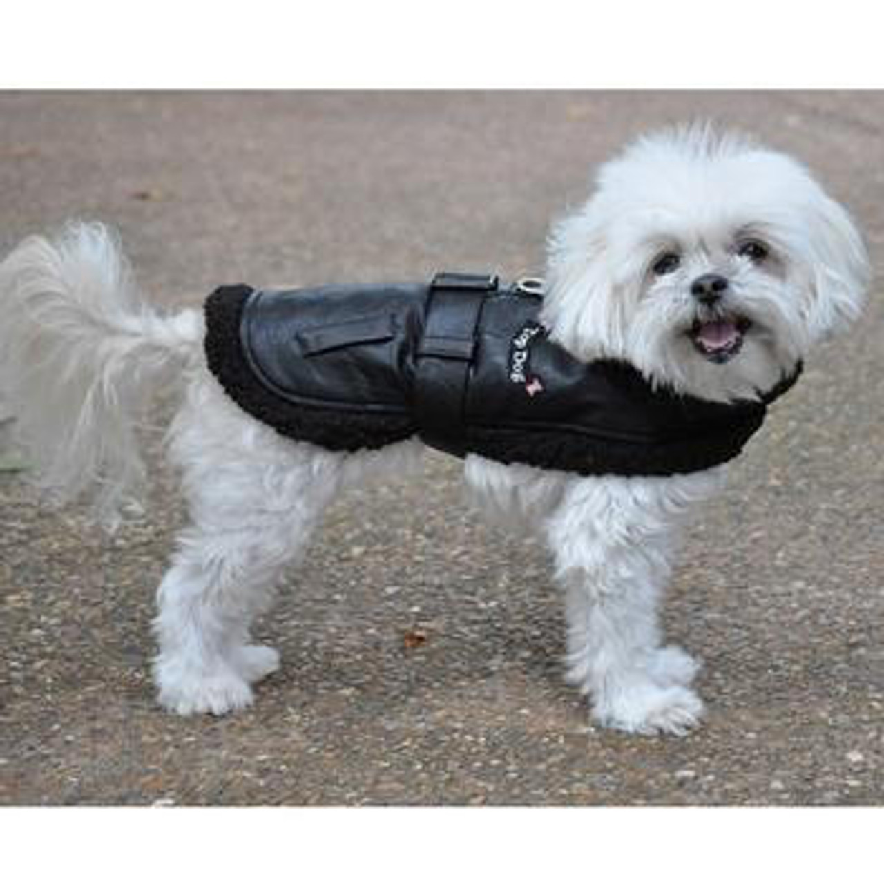 Doggie Design Top Dog Flight Harness Coat by Doggie Design - Black 