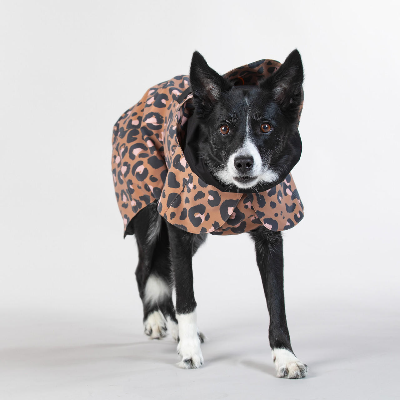  Visibility Raincoat Lite Leo for Dogs 