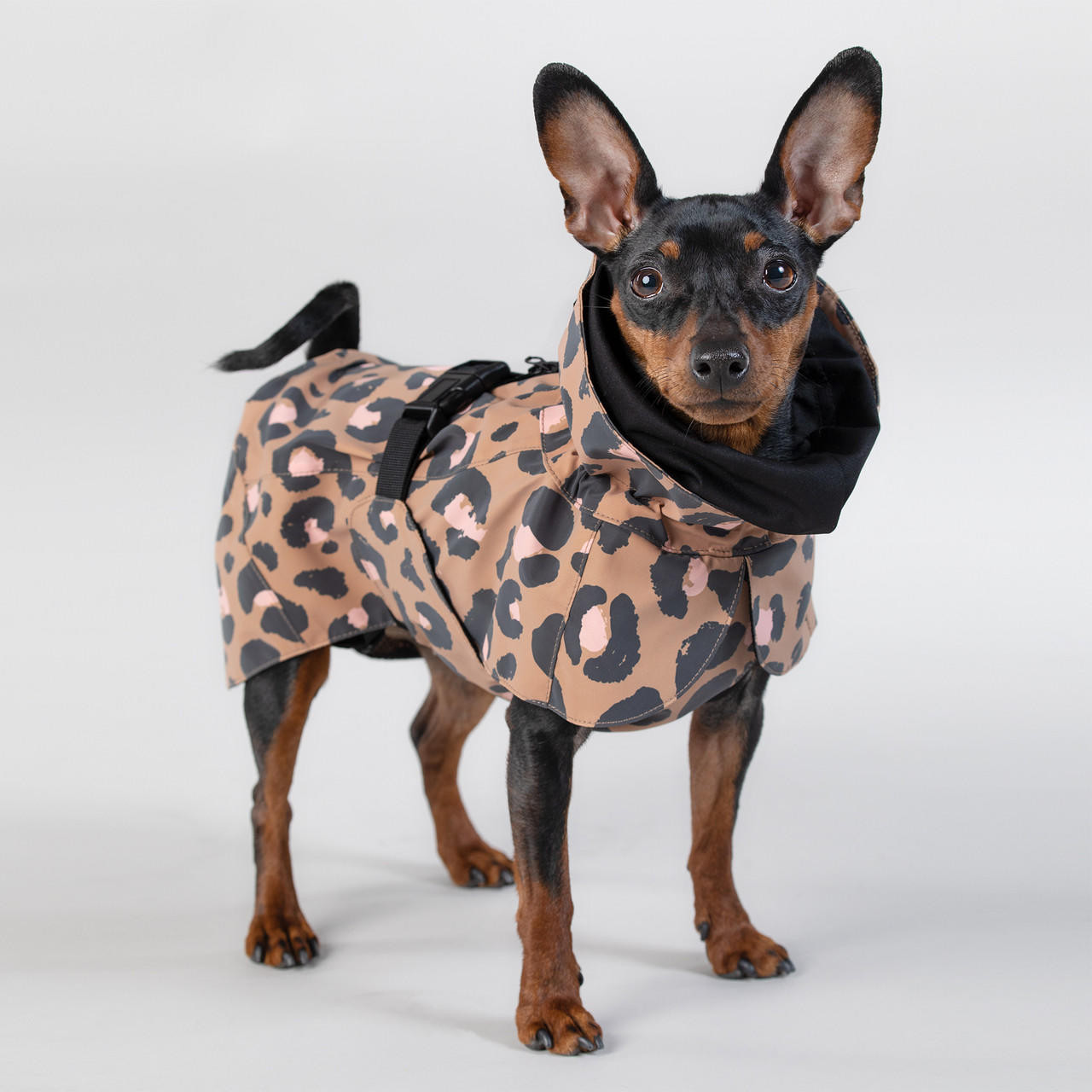  Visibility Raincoat Lite Leo for Dogs 