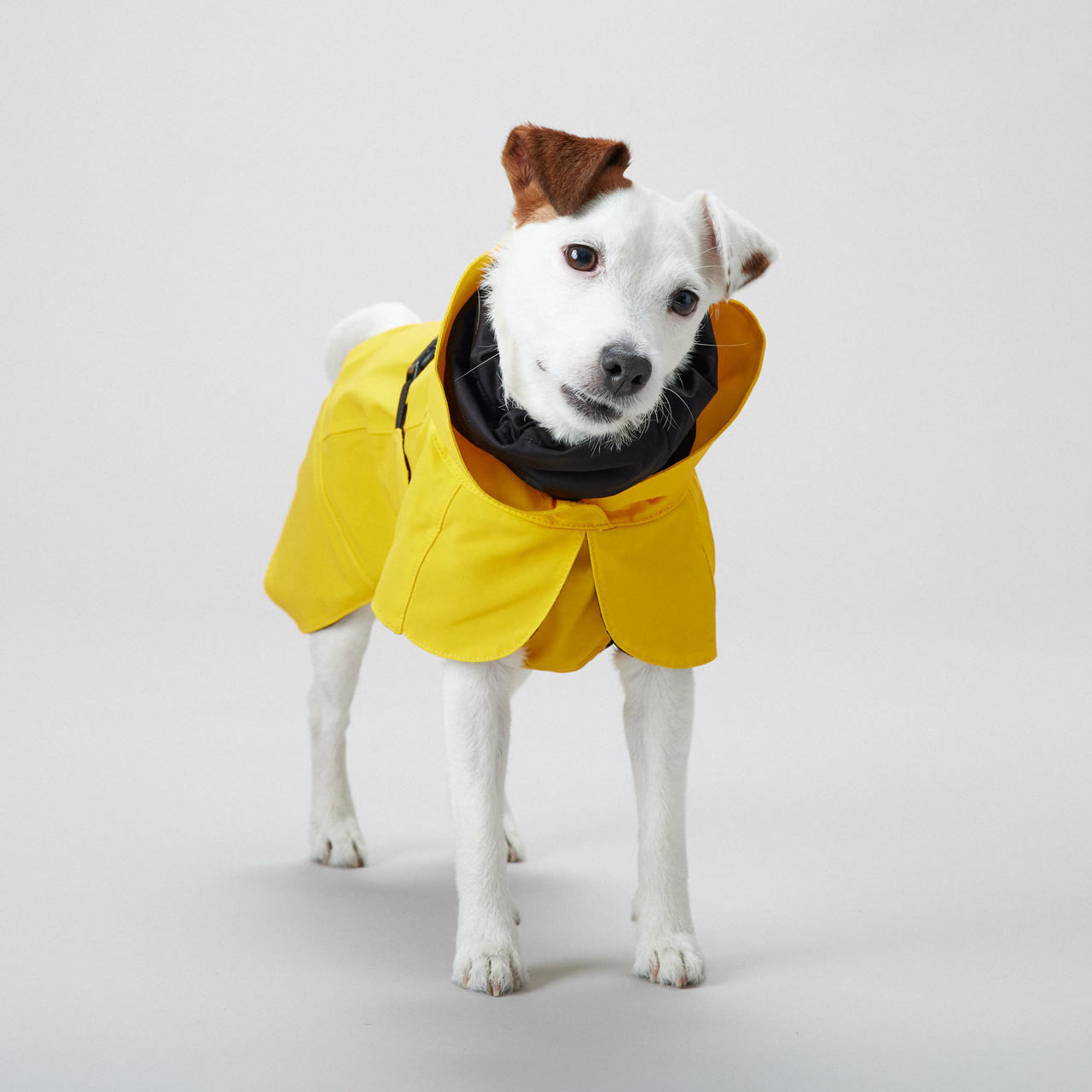  Copy of Visibility Raincoat Lite Yellow for Dogs 