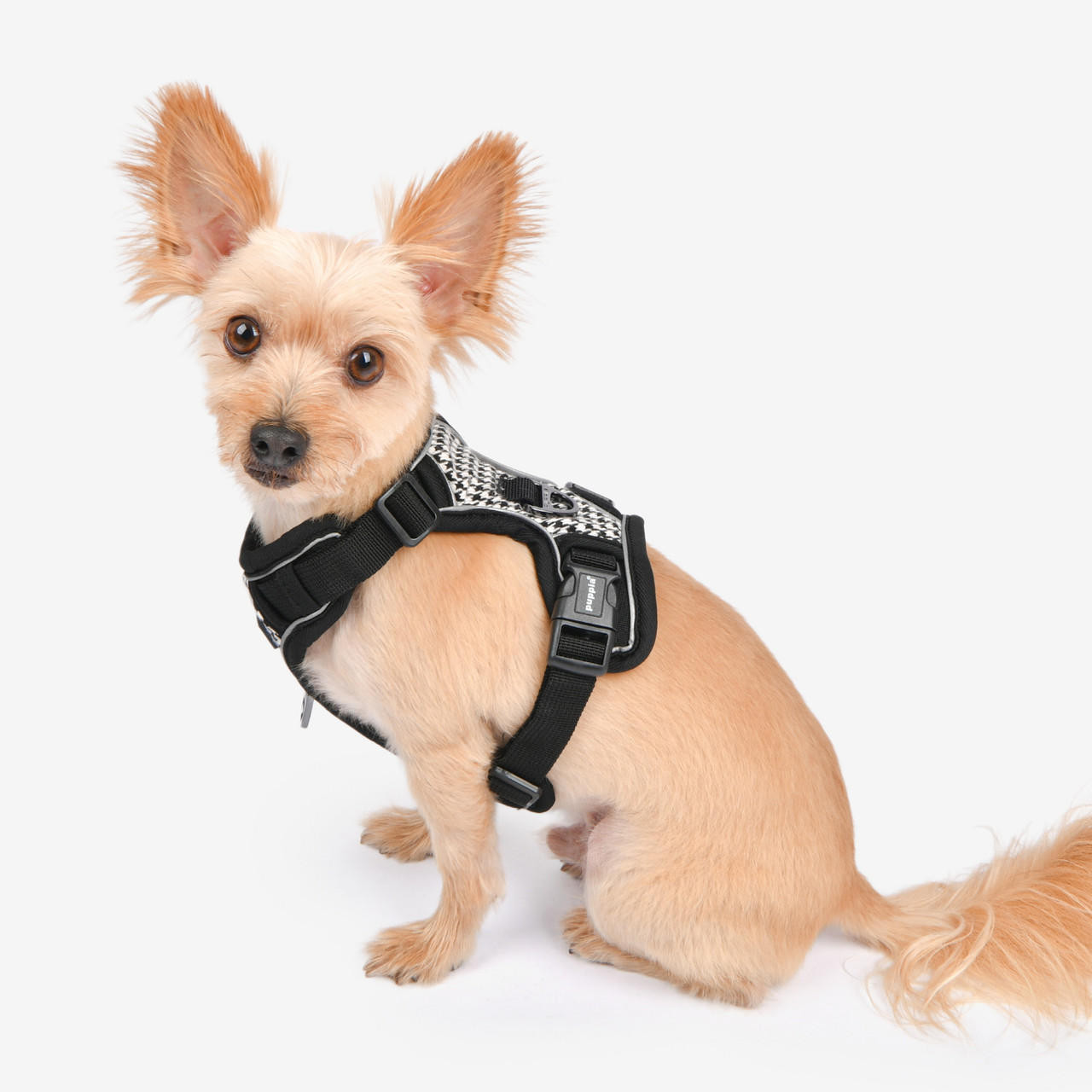 Puppia/Pinkaholic Puppia Conall Harness H 