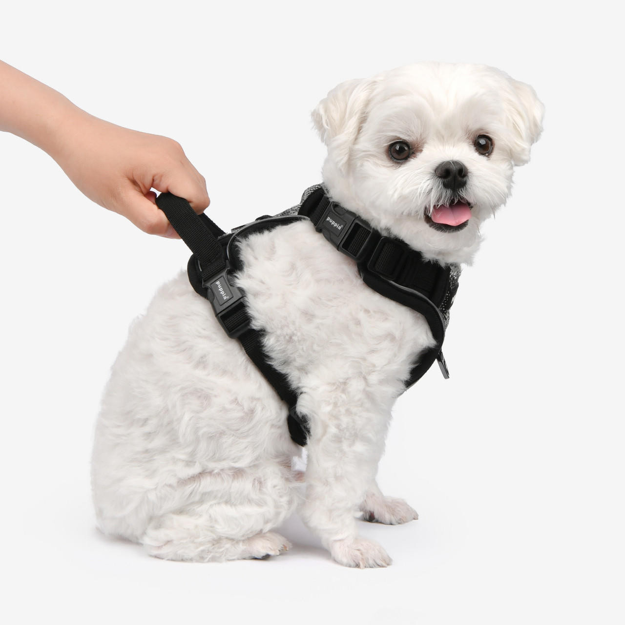 Puppia/Pinkaholic Puppia Garrett Harness H with Handle 