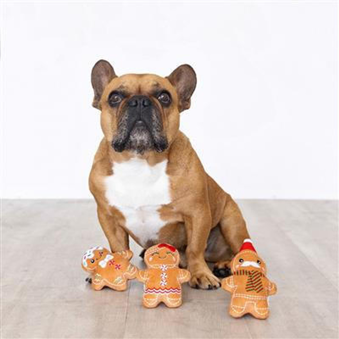 https://cdn11.bigcommerce.com/s-puig49kl/images/stencil/1280x1280/products/7671/59324/fringe-studio-gingerbread-everything-mini-plush-dog-toys-set-of-3__84299.1698814919.jpg?c=2