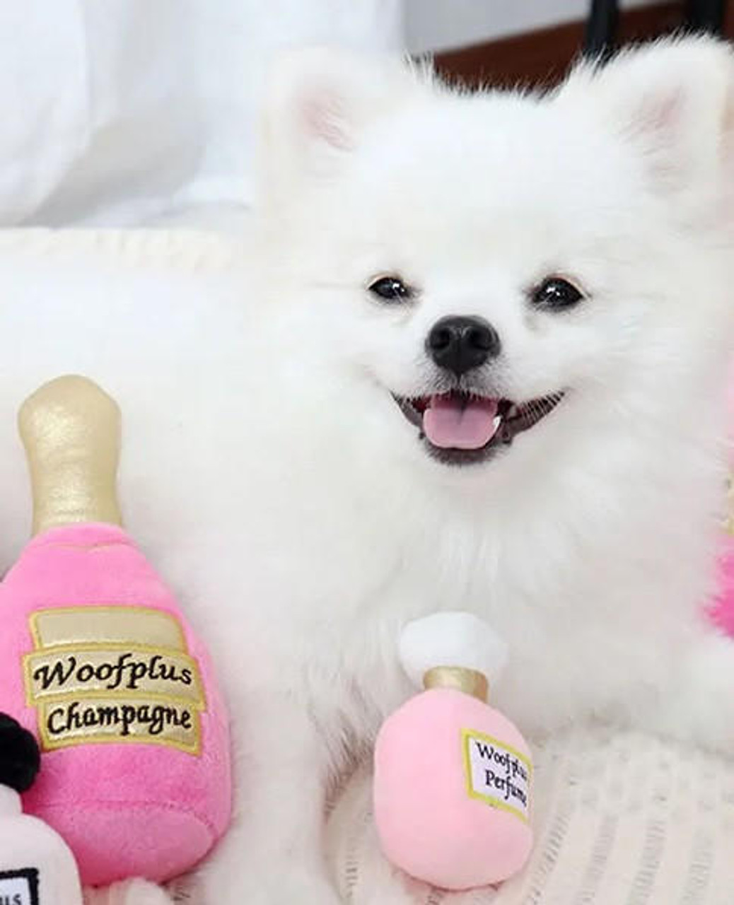 NYD Woofplus Champagne 