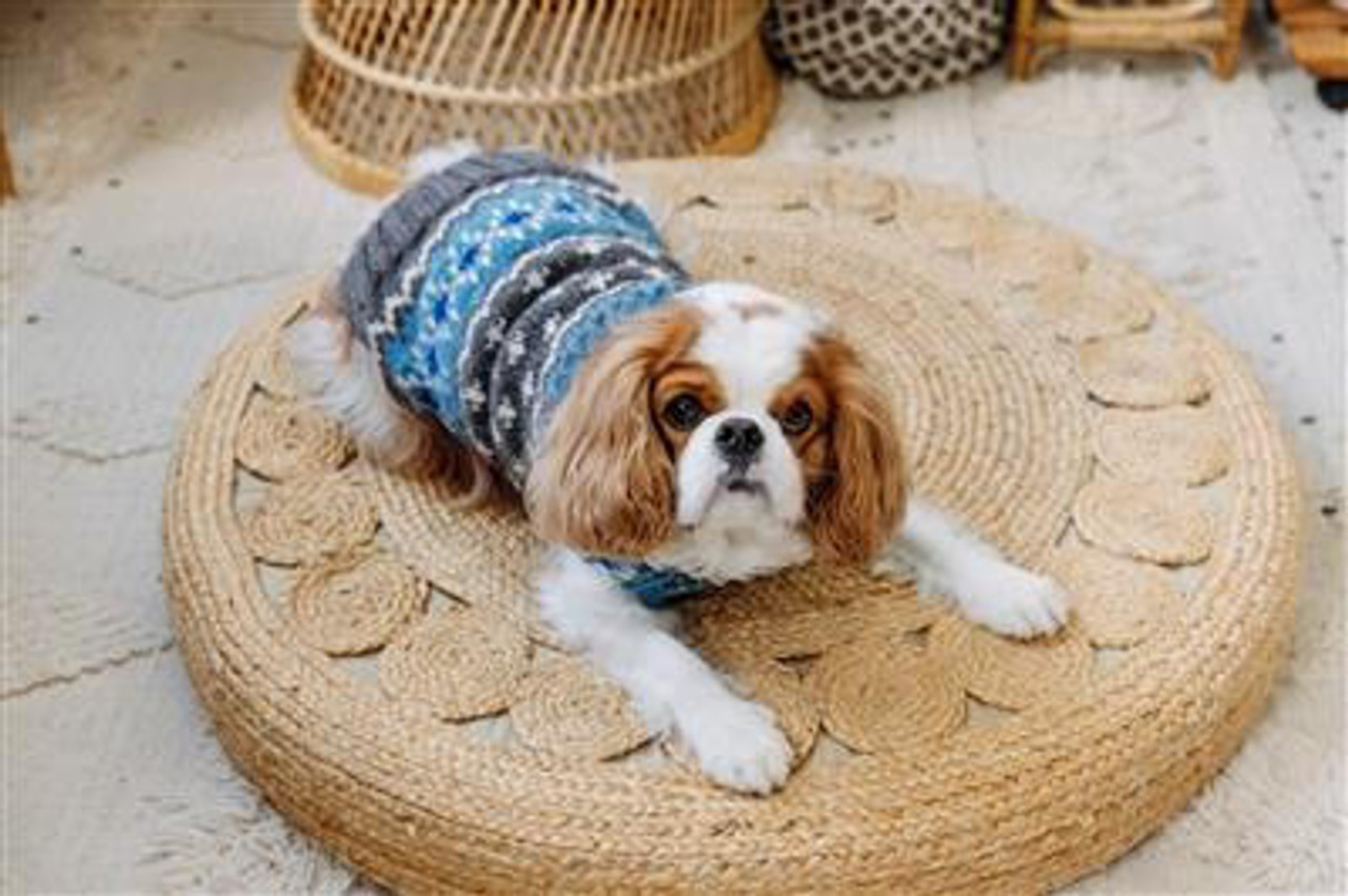 Chilly Dog Light Blue Fair Isle Wool Sweater 