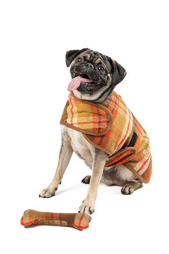 Chilly Dog Rust Plaid  Wool Blanket Dog Coat 