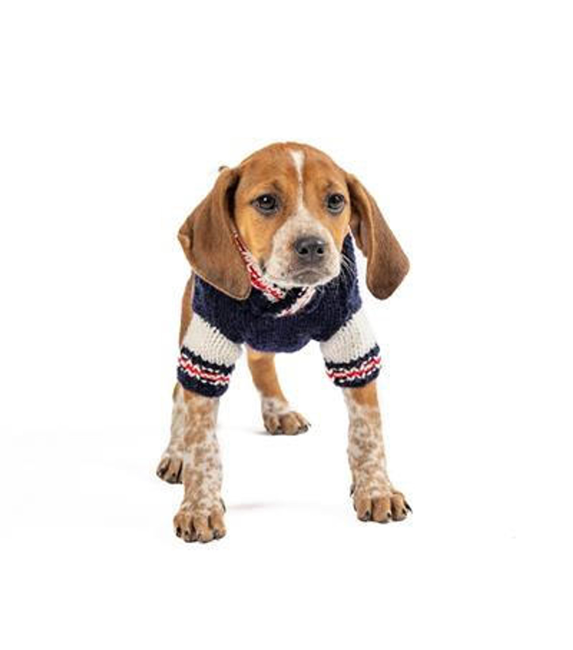 Chilly Dog Varsity Wool Sweater 