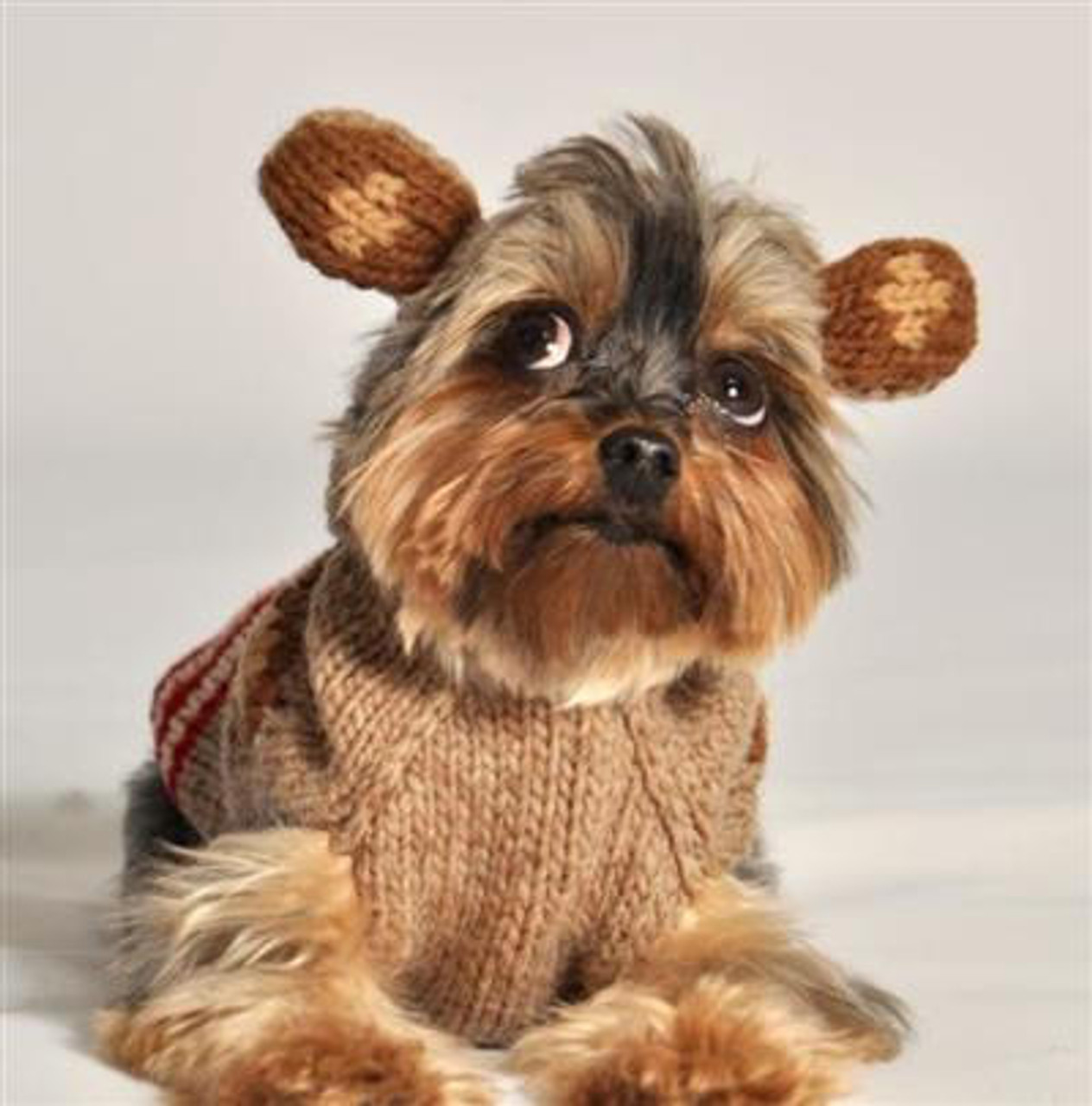 Chilly Dog Monkey Hoodie Wool Sweater 