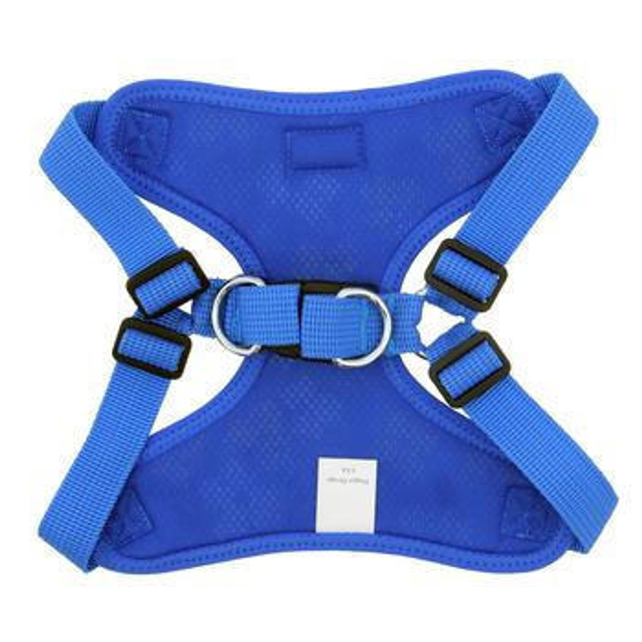 Blue dog clearance designs harness